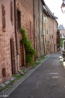 alsace-6